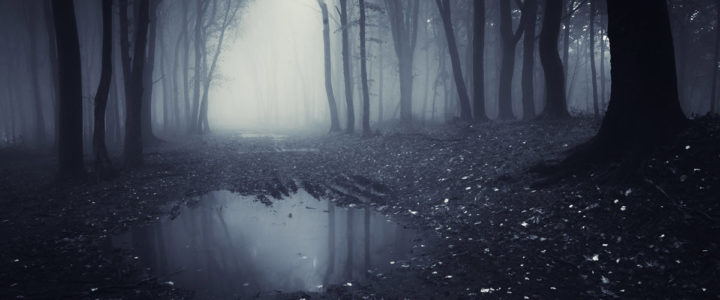 A dark and eery forest lake